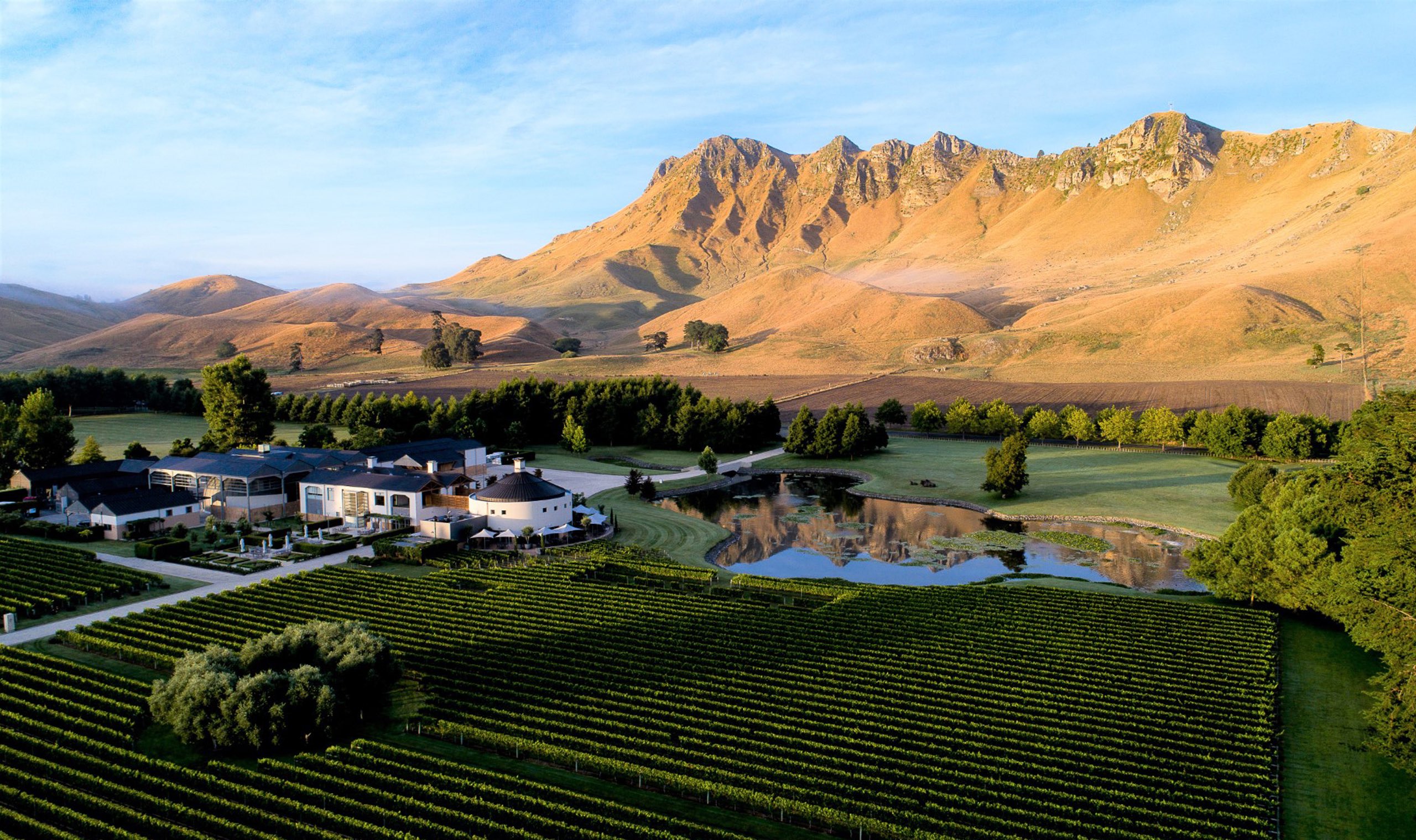 A Guide to the Best Wineries in Hawke’s Bay